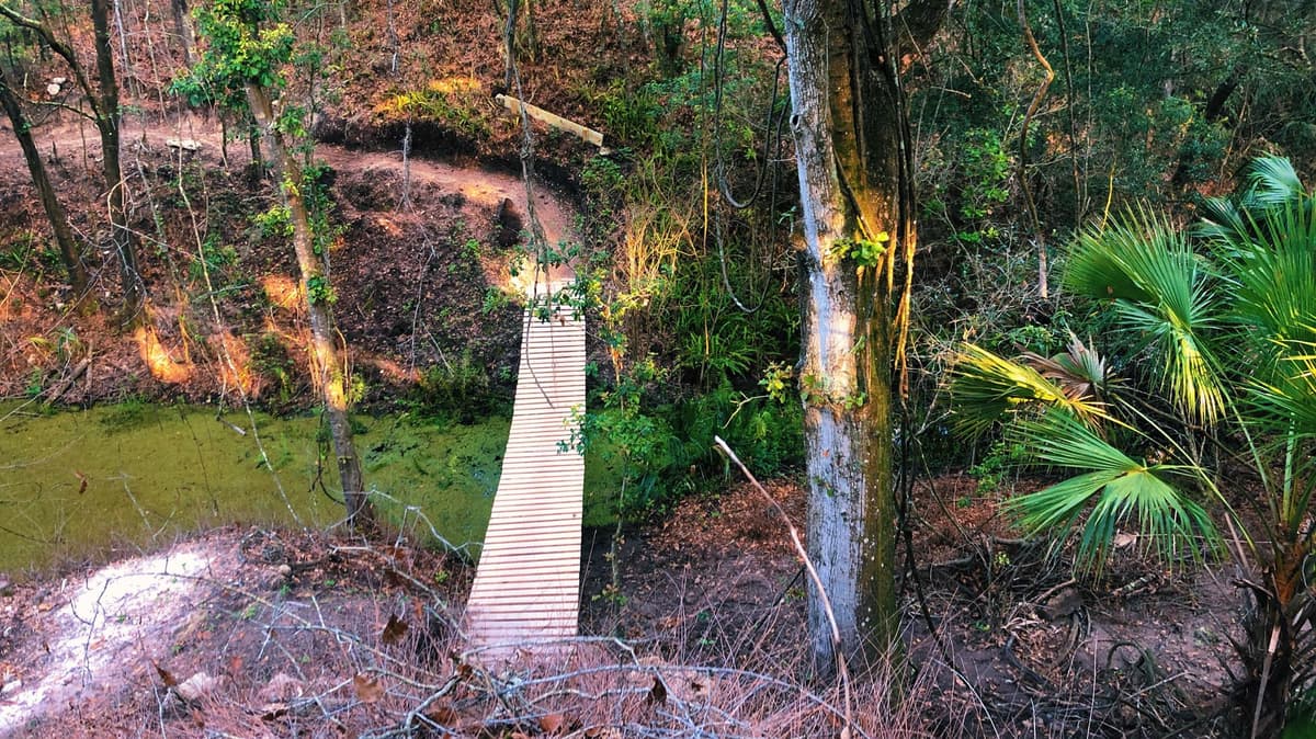 Technical rock garden section