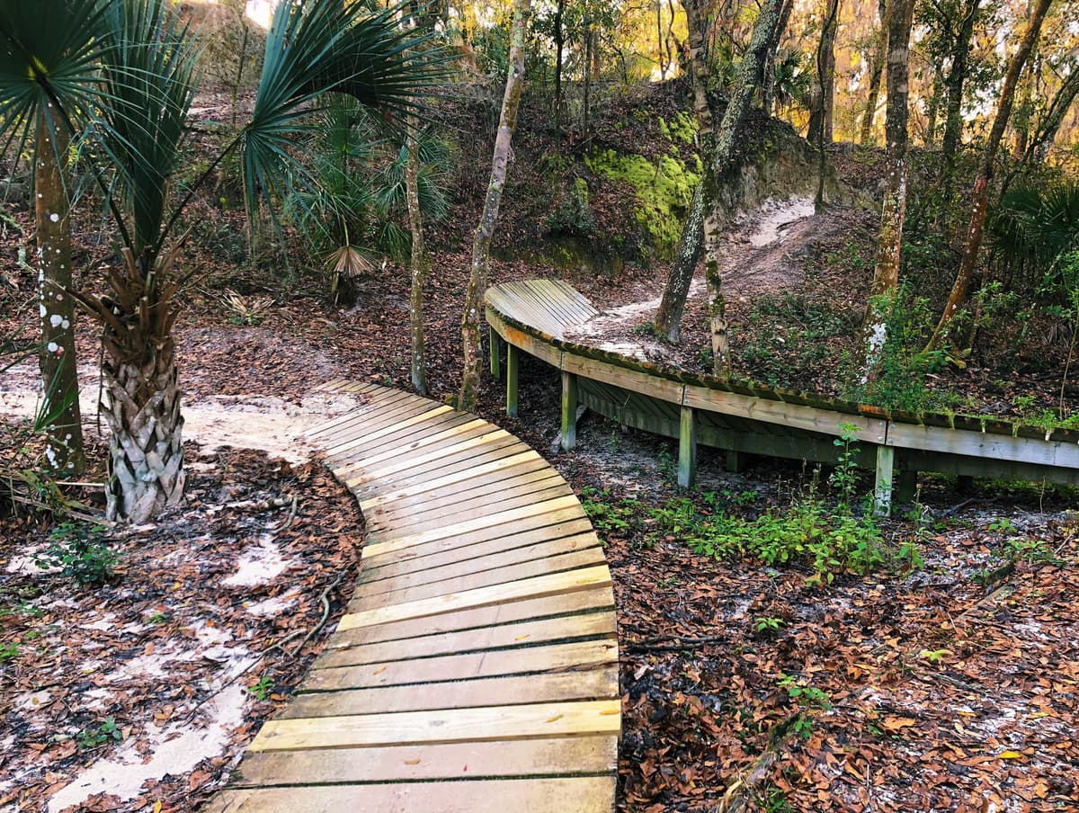 Scenic overlook of trails