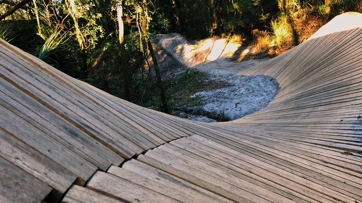 Scenic overlook of trails