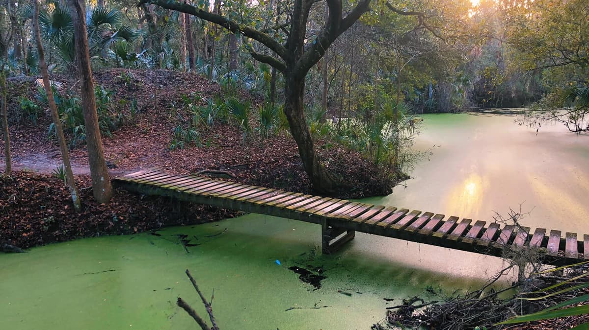 Scenic overlook of trails