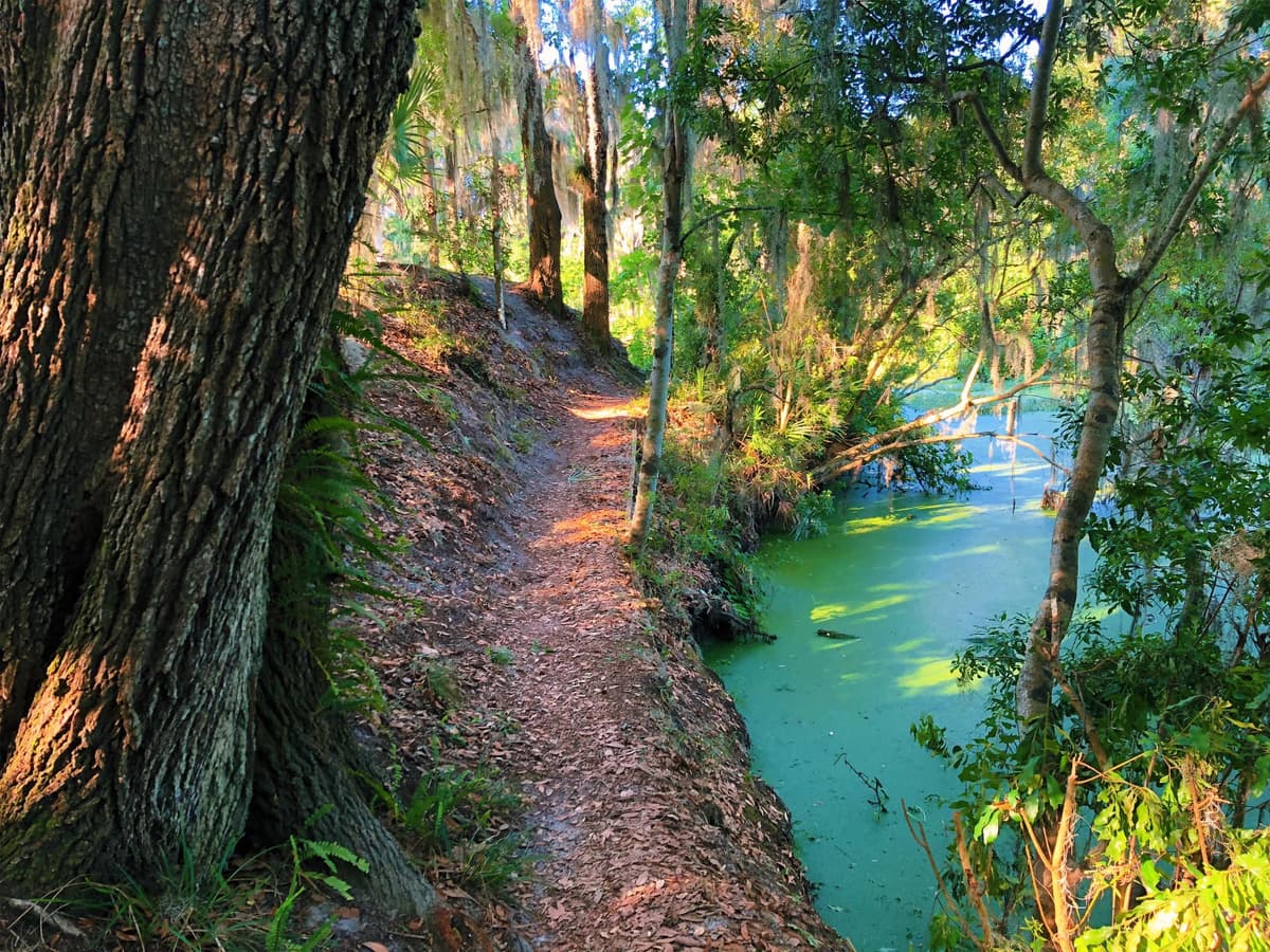 Scenic overlook of trails