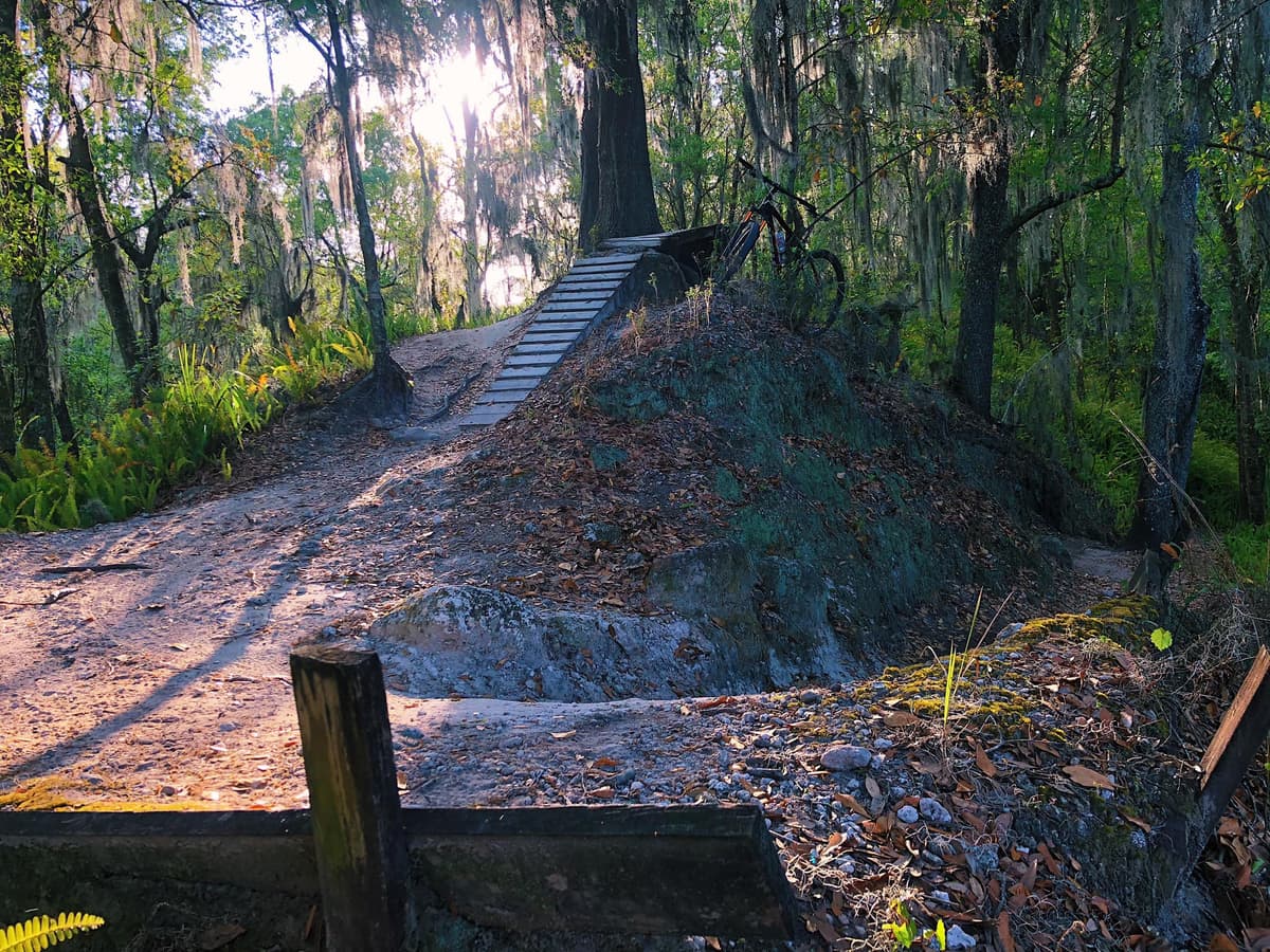 Scenic overlook of trails