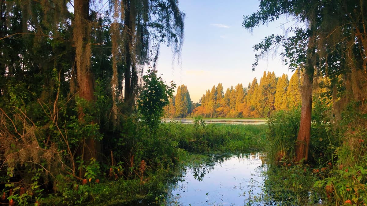 Scenic overlook of trails