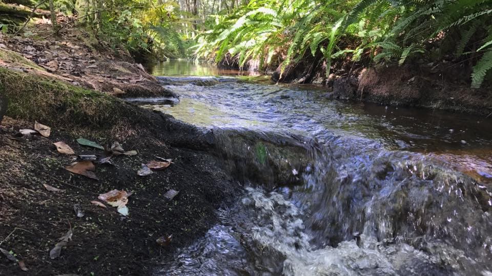 Scenic overlook of trails