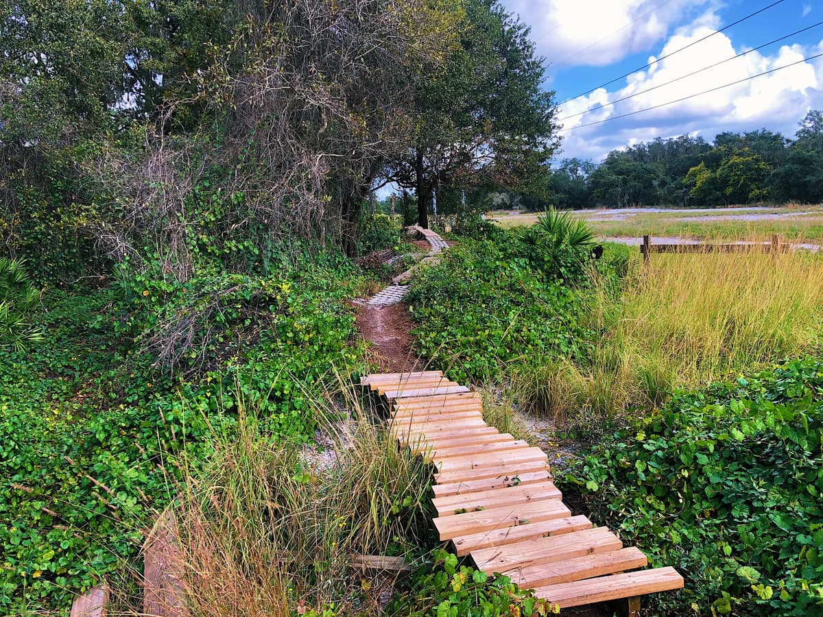 Scenic trail section