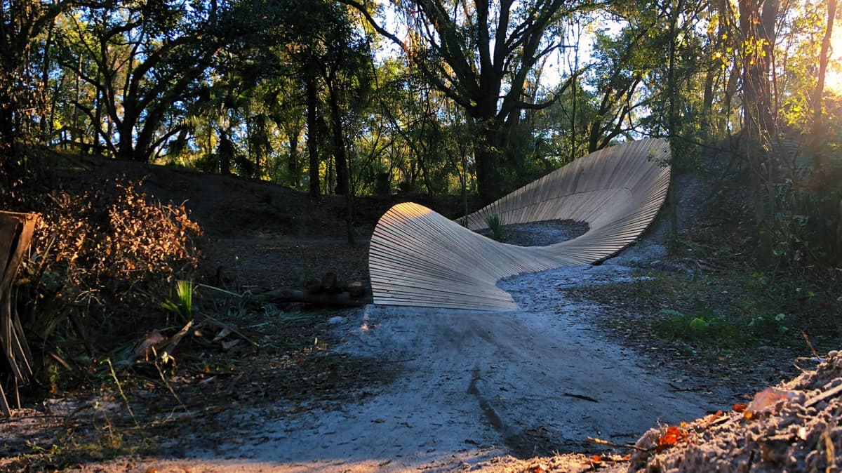 Trail through preserve