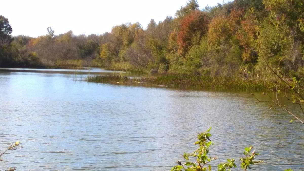 Open Prairie Crossing